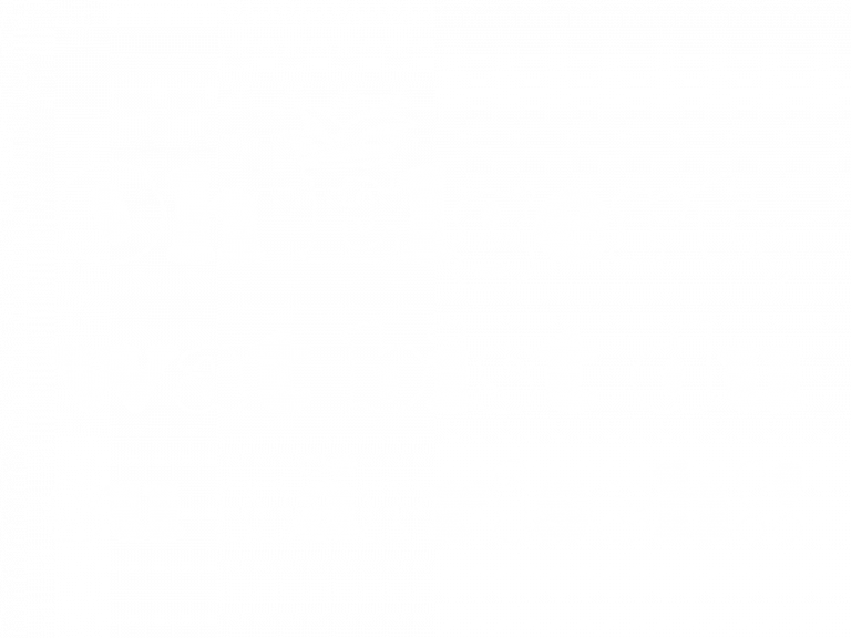 karneval schriftzug groß2